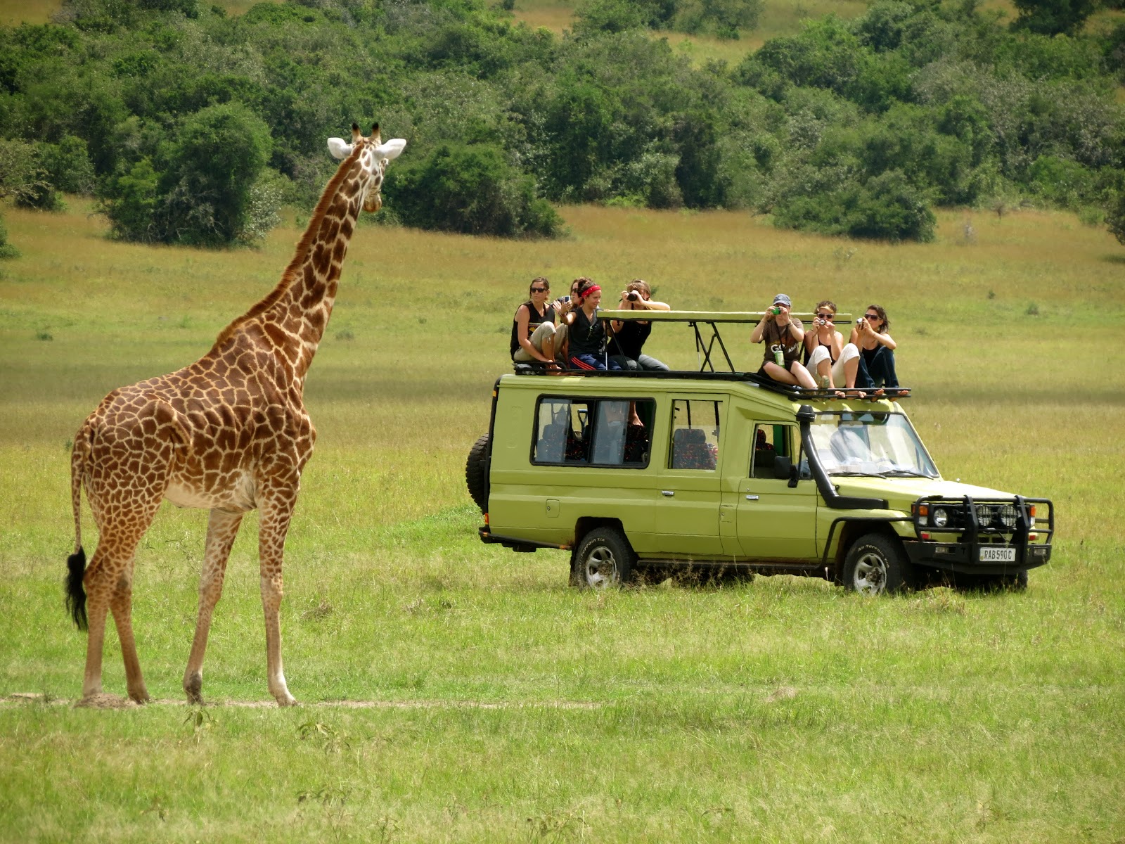 Tanzani-Wildlife-tour-1
